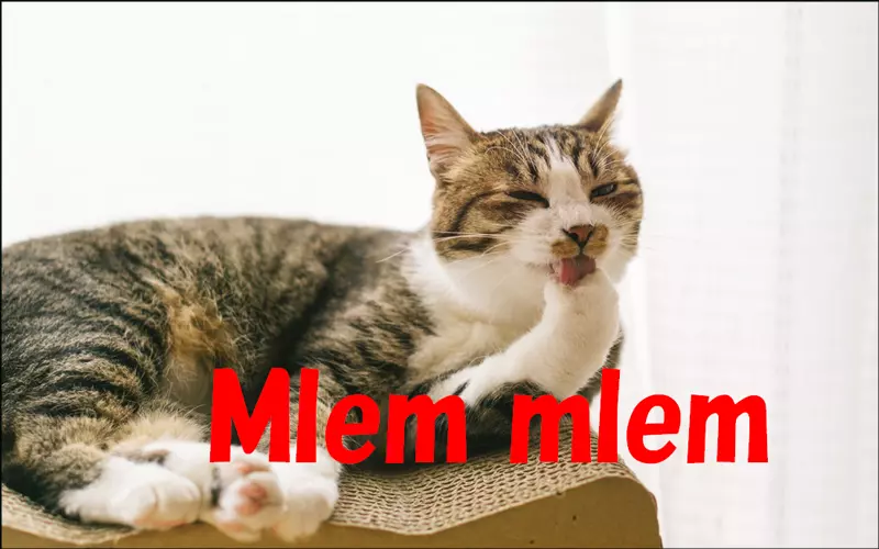 Cách sử dụng từ “Mlem mlem" trong các trường hợp khác nhau
