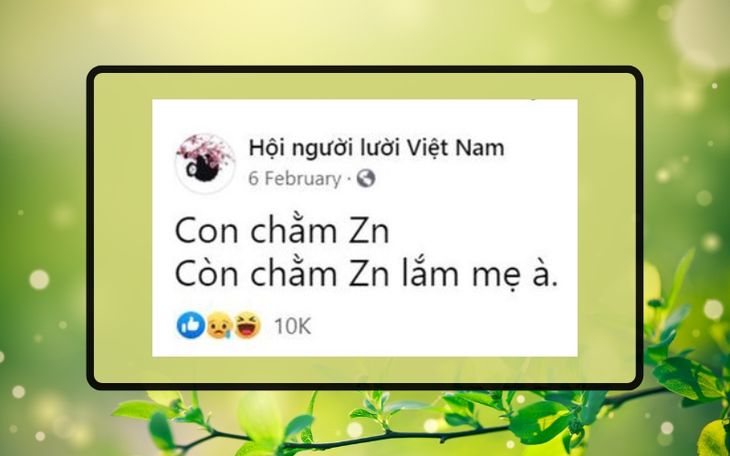 Nguồn gốc của “Chằm ZN”?