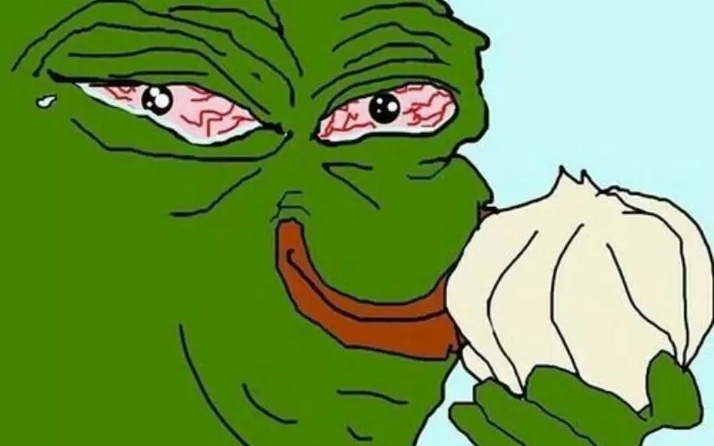 Meme ếch Pepe cay mắt