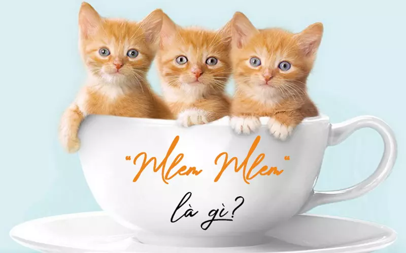 Mlem nghĩa là gì?