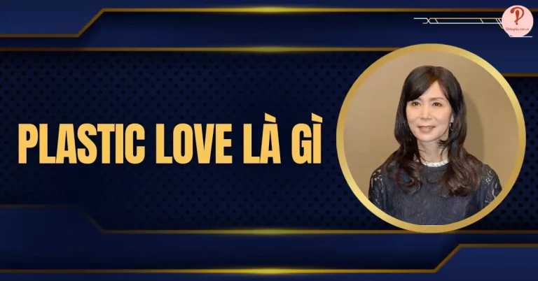 plastic love là gì