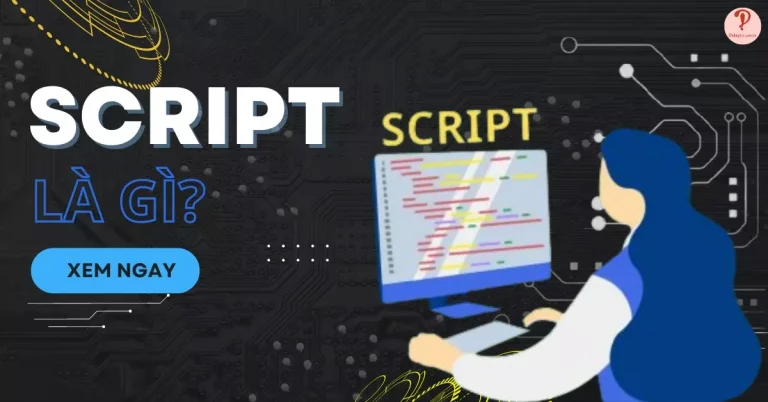Script là gì?