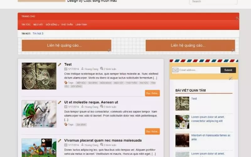Bên cạnh việc sở hữu cho công ty một website, thì điều quan trọng tiếp theo là website cần có yếu tố SEO