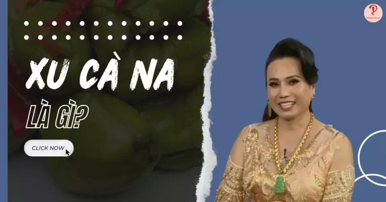 Xu cà na
