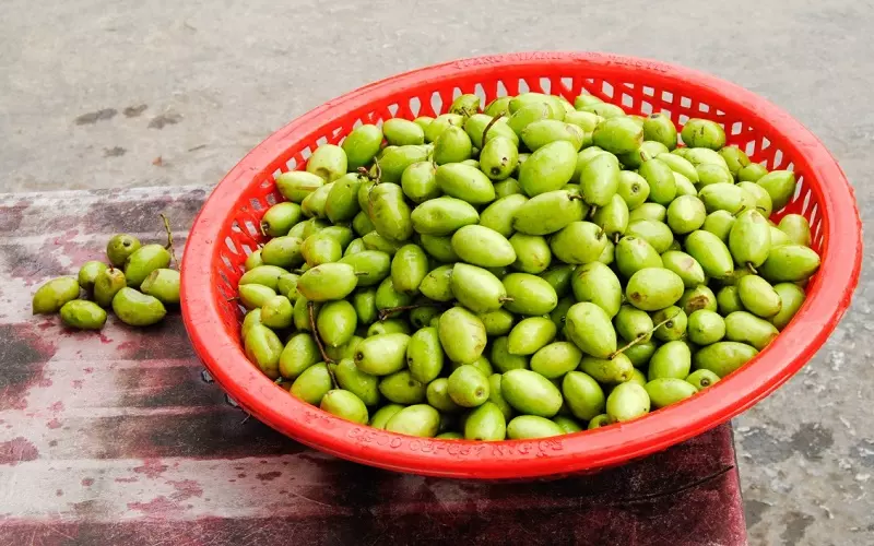 "Xu cà na" là một câu có cả nghĩa đen và nghĩa bóng, nghĩa đen là chỉ quả cà na