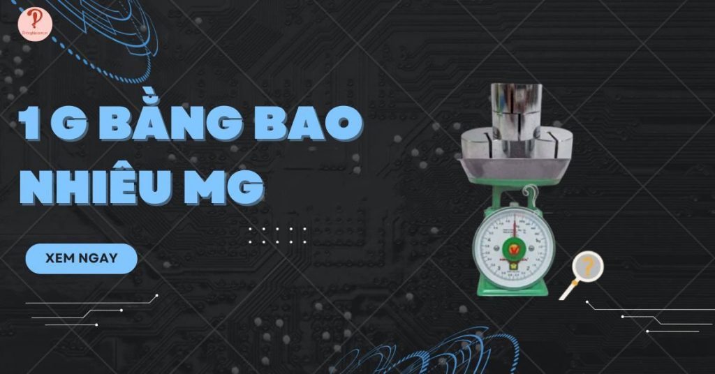 1 g bằng bao nhiêu mg? Cách đổi g về các đơn vị đo khối lượng