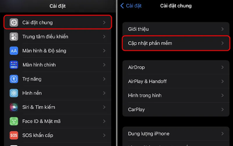 Chọn Cập nhật phần mềm trong danh sách Cài đặt chung