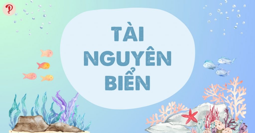 Tài nguyên biển là gì? Đặc điểm nguồn tài nguyên biển Việt Nam