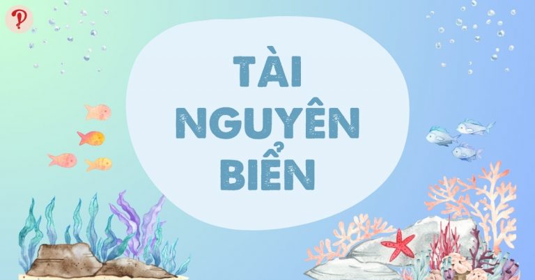 Tài nguyên biển là gì? Đặc điểm nguồn tài nguyên biển Việt Nam