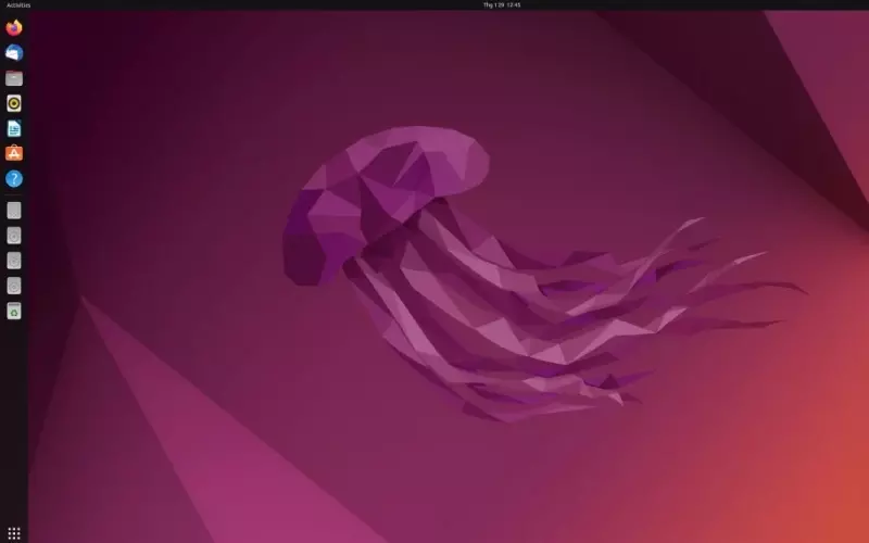 Ubuntu được cài sẵn các phần mềm mã nguồn mở để người dùng có thể sử dụng nó một cách trực tiếp