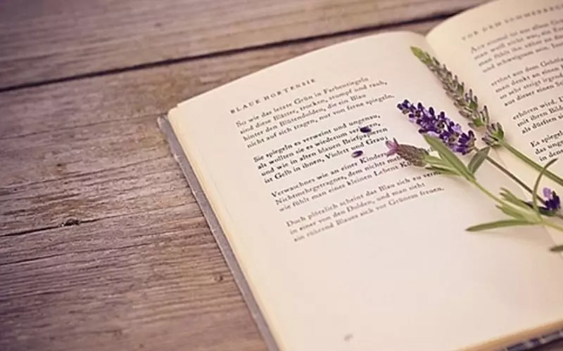 Văn thuyết minh cần được trình bày một cách chính xác, chặt chẽ, rõ ràng