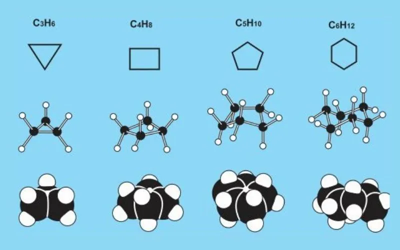 Xicloankan được biết đến là những Hidrocacbon