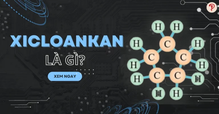 xicloankan là gì