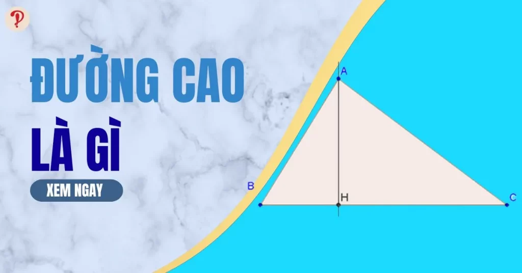 đường cao là gì