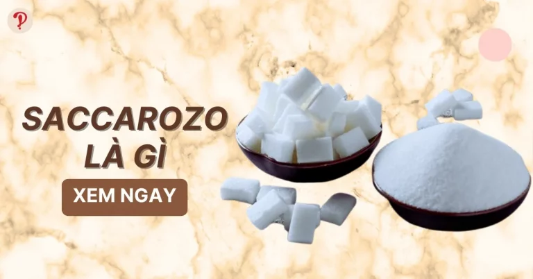 Saccarozo là gì